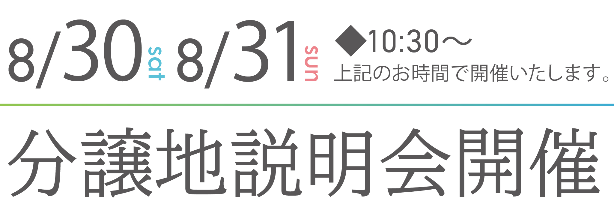 日程